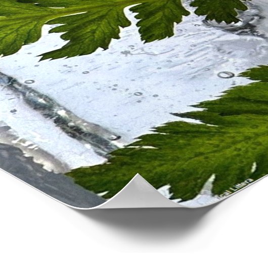 アイス・シダ ポスター (角)