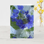 アイス・フロックス カード (黄色い花)