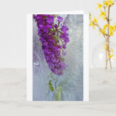 アイス・ブラック・ナイト・バタフライ・ブッシュ カード (黄色い花)