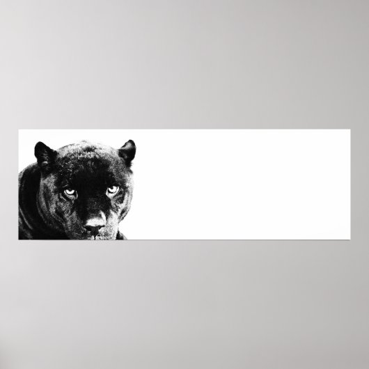 アイズジャガーポップ・アートのアート ポスター (正面)