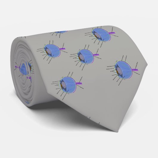 アイタイの解剖学 ネクタイ (ロール)