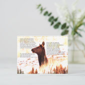 アイダホはジャガイモだけじゃない ポストカード (スタンド正面)