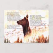 アイダホはジャガイモだけじゃない ポストカード (正面)