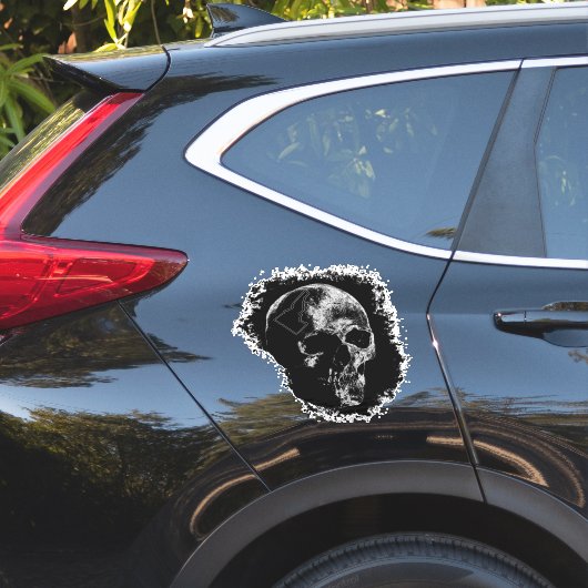 アイダホスカル シール (車体側面)