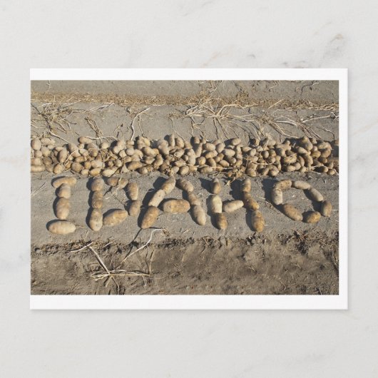 アイダホポテト ポストカード (正面)