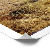 アイダホ山の風景 ポスター (角)