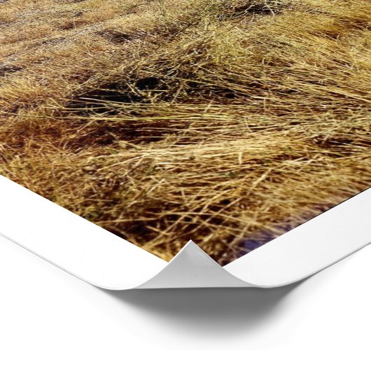 アイダホ山の風景 ポスター (角)