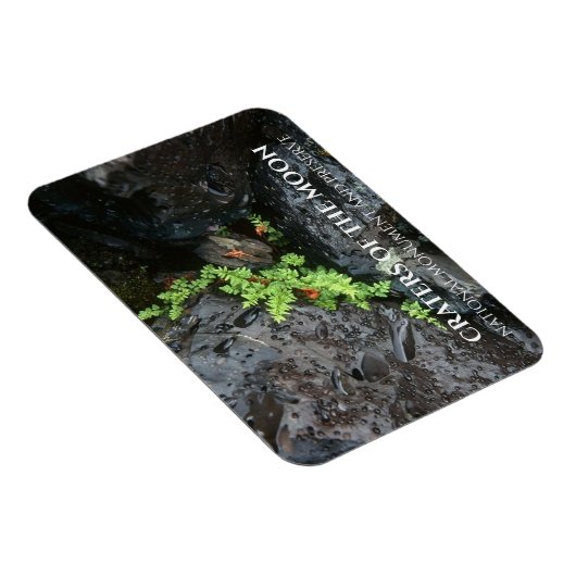 アイダホ州の月のクレーター、溶岩で成長するシダ マグネット (右側)