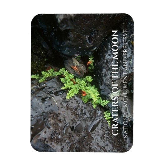 アイダホ州の月のクレーター、溶岩で成長するシダ マグネット (縦)