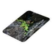 アイダホ州の月のクレーター、溶岩で成長するシダ マグネット (左側)