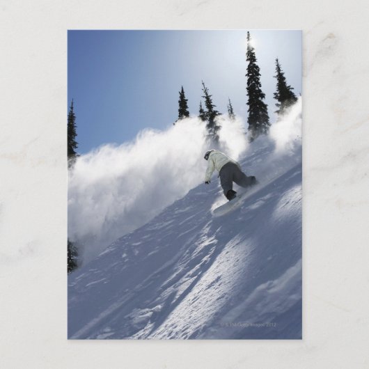 アイダホ州の男性のスノーボーダーのリッピング粉。 ポストカード (正面)