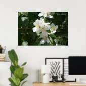 アイダホ州の花：シリンガ ポスター (ホームオフィス)