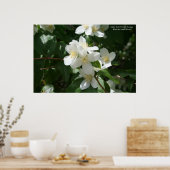 アイダホ州の花：シリンガ ポスター (キッチン)