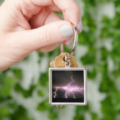 アイダホ州アメリカ稲妻。 キーホルダー (手)