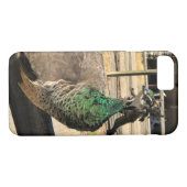 アイダホ州フェンス上の孔雀 Case-Mate iPhoneケース (裏面(横))