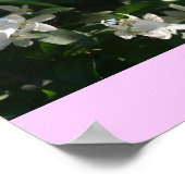 アイダホ州フラワーザシリンガ ポスター (角)