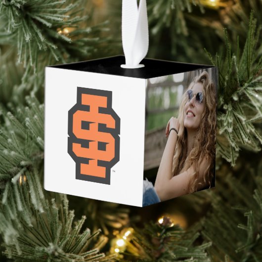 アイダホ州大はっきりした学ベンガルのロゴ キューブオーナメント (ツリー)