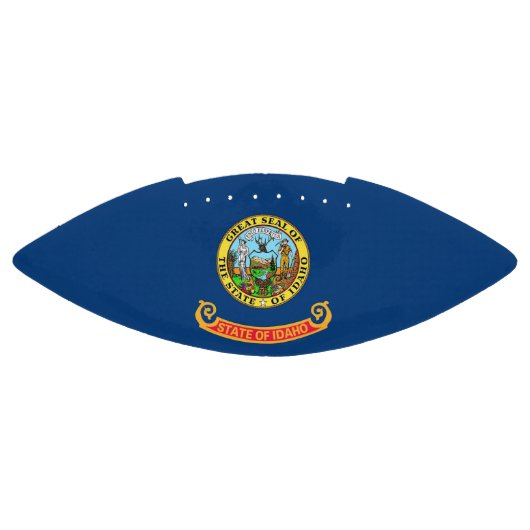 アイダホ州旗を持つ愛国的なアメリカンフットボール アメリカンフットボール (パネル)
