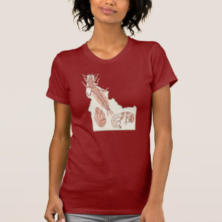 アイダホ水中競技  Tシャツ