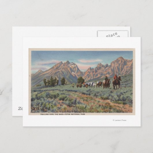 アイダホ – テトンMtsの騎乗男性のビュー。 ポストカード (正面/裏面)