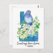 アイダホ・ブルーバードシロリンガからの愛の発信 ポストカード (正面/裏面)