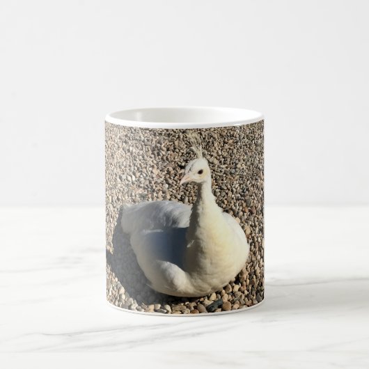 アイダホ・ホワイトピーコック コーヒーマグカップ (中央)