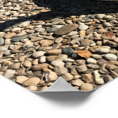 アイダホ・ホワイトピーコック ポスター (角)