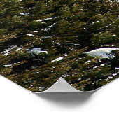 アイダホ・マクコール・ブルダージュスキーリゾート ポスター (角)