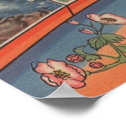 アイダホ(州大文字/花) – 大文字 ポスター (角)