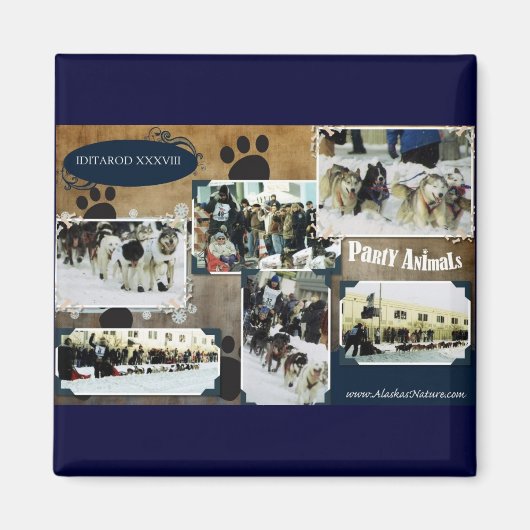 アイダロド2010 マグネット (正面)