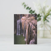 アイダ素晴らしホの秋写真葉書 ポストカード (スタンド正面)