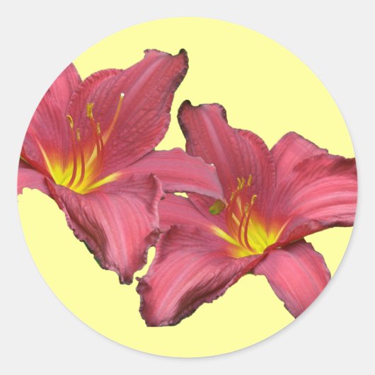 アイテムの調整(赤) ラウンドシール (正面)