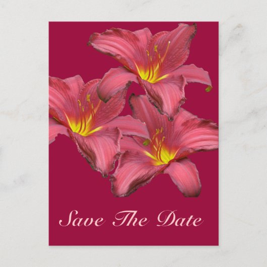 アイテムの調整(赤) 案内ポストカード (正面)