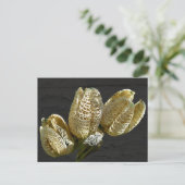 アイテムを調整する空のユリの種子ポッド ポストカード (スタンド正面)