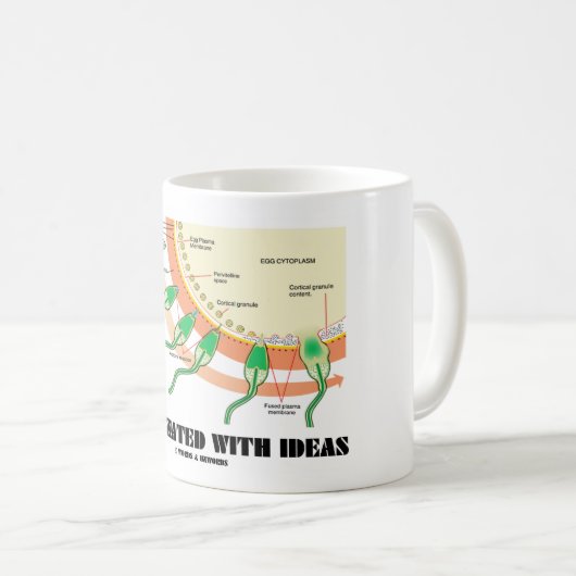 アイディア(精液の卵の受精)と浸透させる コーヒーマグカップ (正面右)