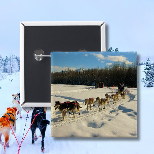 アイディタロドトレイル犬レース 缶バッジ