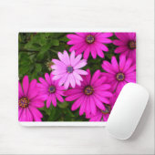 アイデンティティ(mousepad) マウスパッド (マウス)