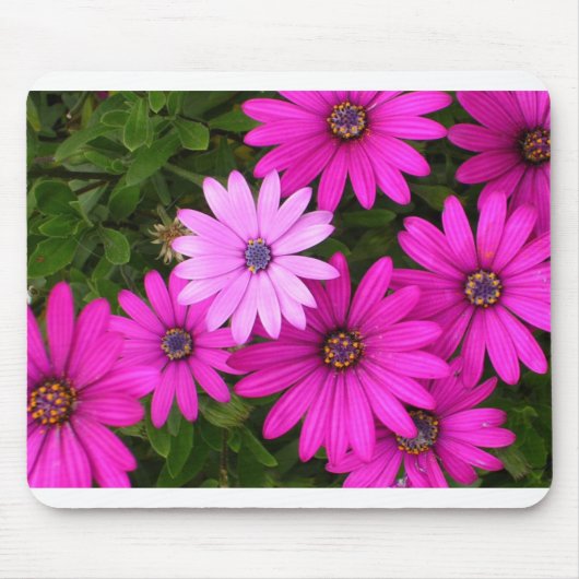 アイデンティティ(mousepad) マウスパッド (正面)