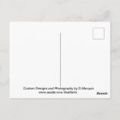 アイドルフィンスイム#3ハガキ ポストカード (裏面)