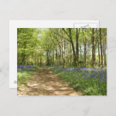 アイドレス・ウッズ ポストカード (正面/裏面)