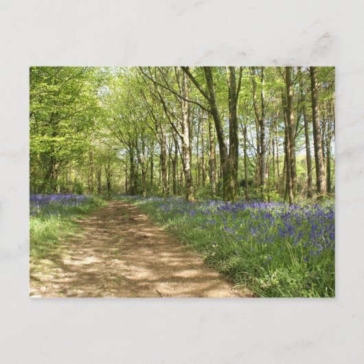 アイドレス・ウッズ ポストカード (正面)