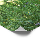 アイニエ山アイニエ湖のガルグラWA, ポスター (角)