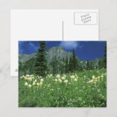 アイニエ山アイニエ湖のガルグラWA, ポストカード (正面/裏面)