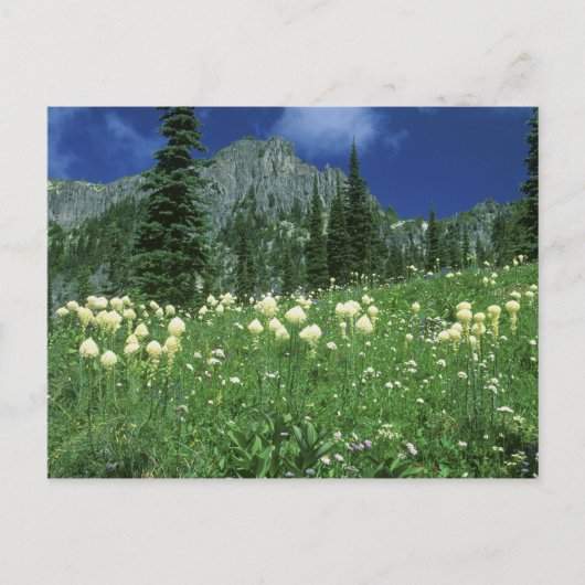 アイニエ山アイニエ湖のガルグラWA, ポストカード (正面)