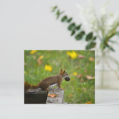 アイヒョルンチェンディーブ ポストカード (スタンド正面)