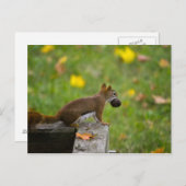 アイヒョルンチェンディーブ ポストカード (正面/裏面)