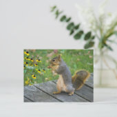 アイヒョルンミットケックス/クッキーとリス ポストカード (スタンド正面)