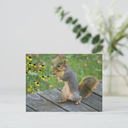 アイヒョルンミットケックス/クッキーとリス ポストカード (スタンド正面)