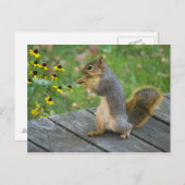 アイヒョルンミットケックス/クッキーとリス ポストカード (正面/裏面)