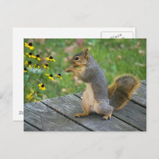 アイヒョルンミットケックス/クッキーとリス ポストカード (正面/裏面)